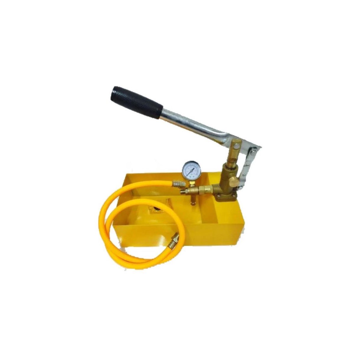 BRS 25 Bar Tesisat Test Pompası